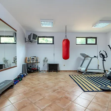 Maca & * 特罗吉尔